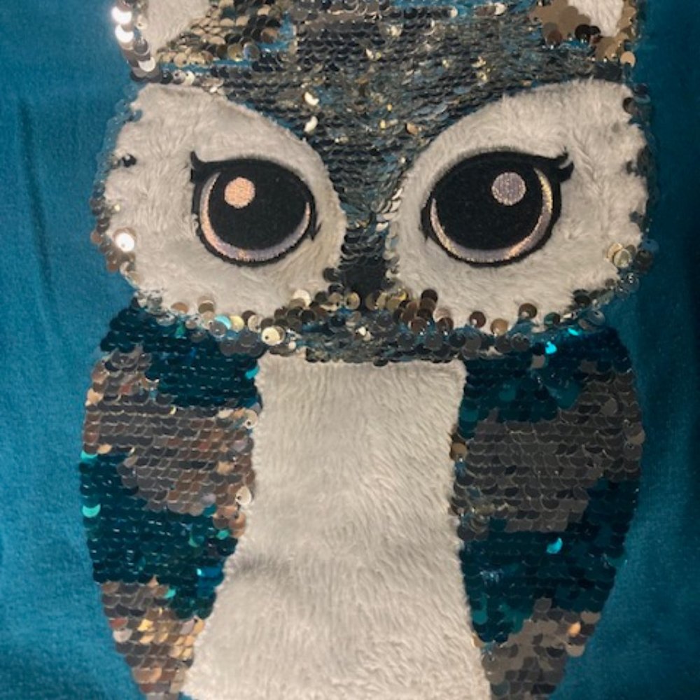 Justice Girls long sleeve with sequin owl